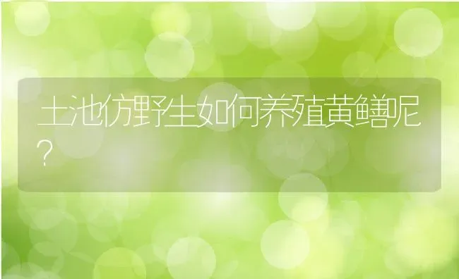 土池仿野生如何养殖黄鳝呢？ | 动物养殖百科