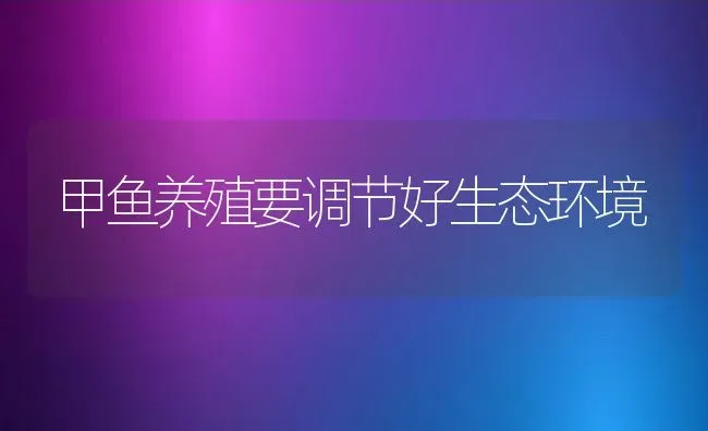 冬养肉鸡五个“不能忘记” | 动物养殖教程