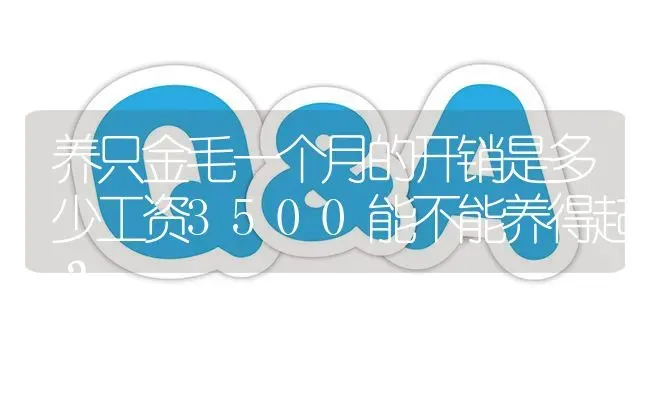 养只金毛一个月的开销是多少工资3500能不能养得起？ | 动物养殖问答