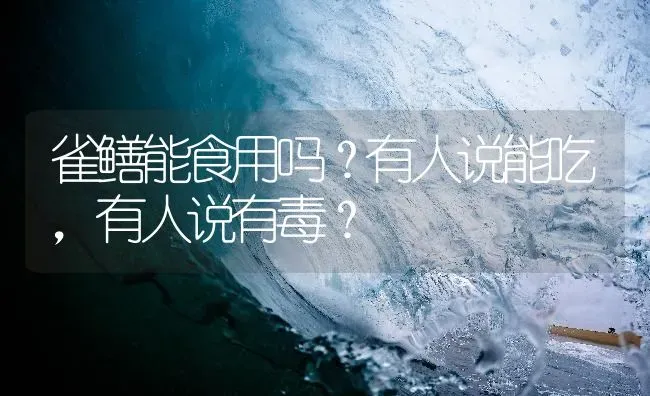 雀鳝能食用吗？有人说能吃，有人说有毒？ | 鱼类宠物饲养