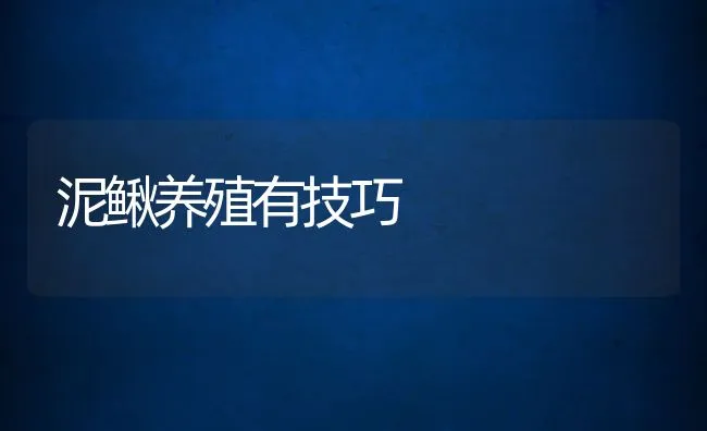 泥鳅养殖有技巧 | 水产养殖知识