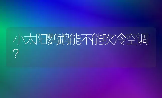 短腿比熊犬能长多大？ | 动物养殖问答