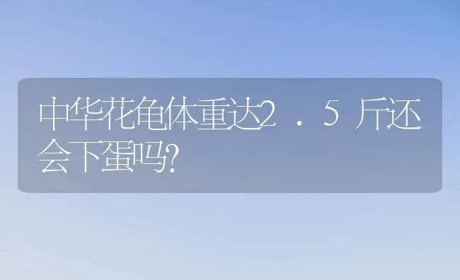 中华花龟体重达2.5斤还会下蛋吗？ | 动物养殖问答