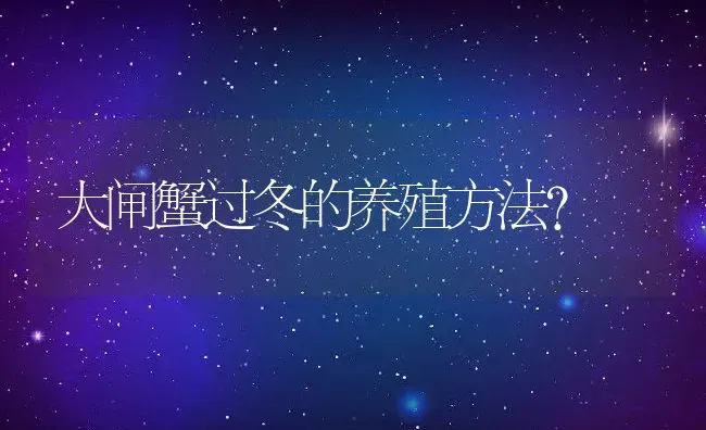 大闸蟹过冬的养殖方法？ | 动物养殖百科