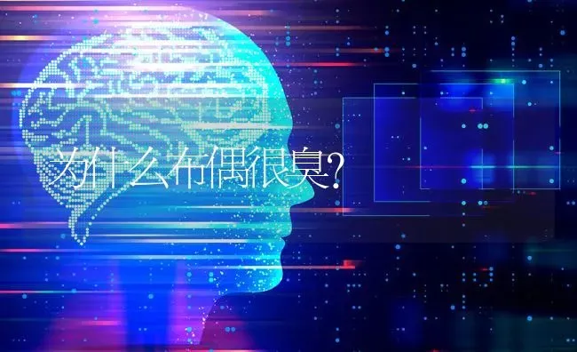 八个月大的狗狗犯错误打他反而吼我？ | 动物养殖问答