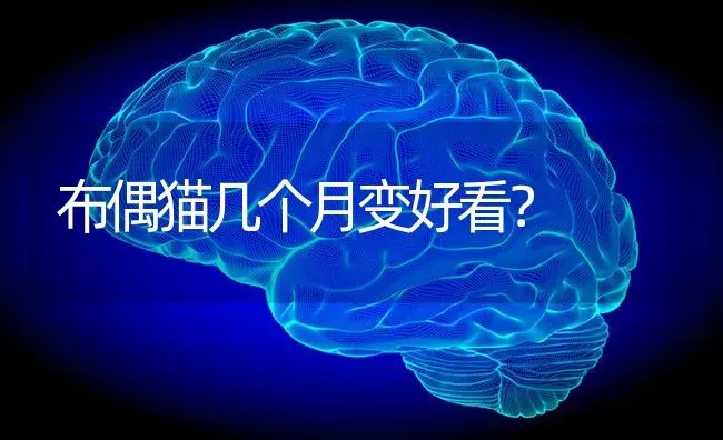 一个疑问，萨摩是完全不能吃盐还是少盐？ | 动物养殖问答