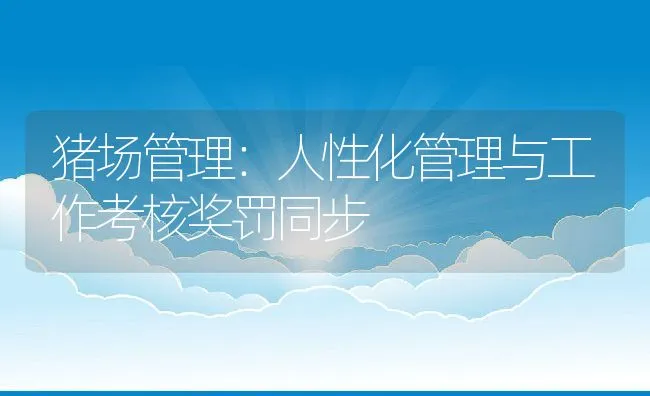 额外添加维生素E会降低猪场PMWS感染 | 动物养殖学堂