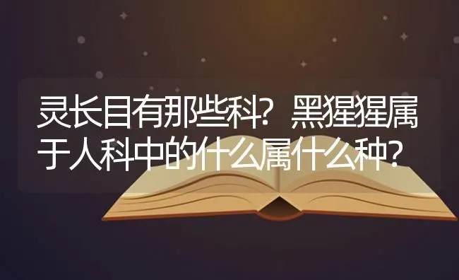 灵长目有那些科?黑猩猩属于人科中的什么属什么种？ | 动物养殖问答