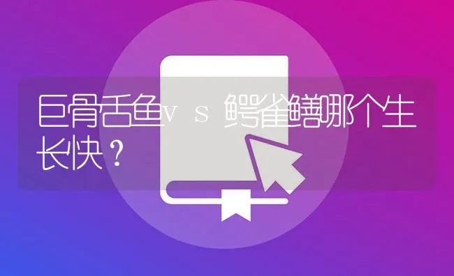 巨骨舌鱼vs鳄雀鳝哪个生长快？ | 鱼类宠物饲养