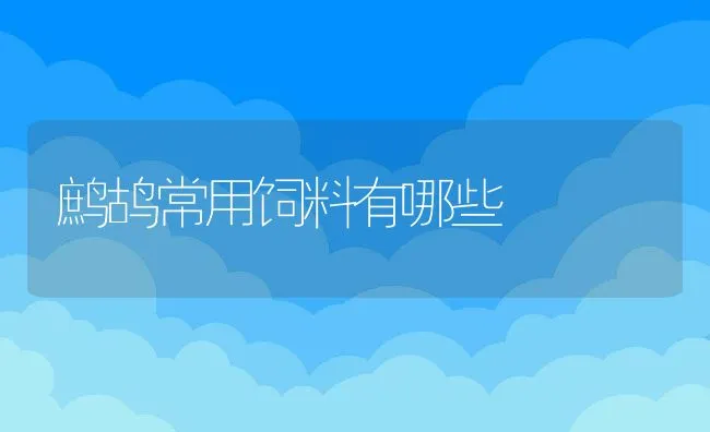 蛇夏季饲养的管理技术要点 | 水产养殖知识