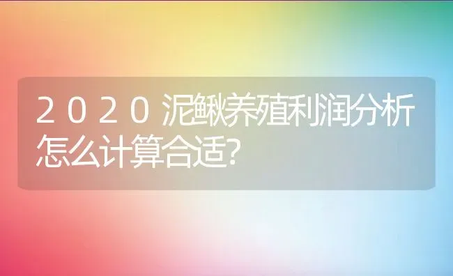 2020泥鳅养殖利润分析怎么计算合适？ | 动物养殖百科