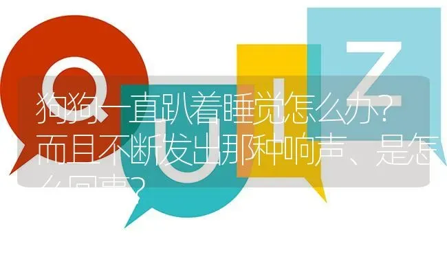 狗狗一直趴着睡觉怎么办？而且不断发出那种响声、是怎么回事？ | 动物养殖问答