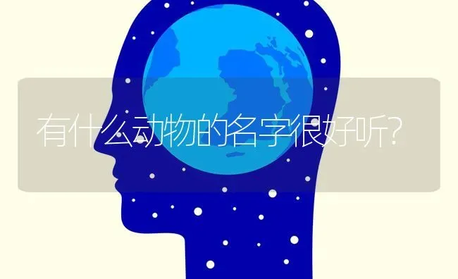 有什么动物的名字很好听？ | 动物养殖问答