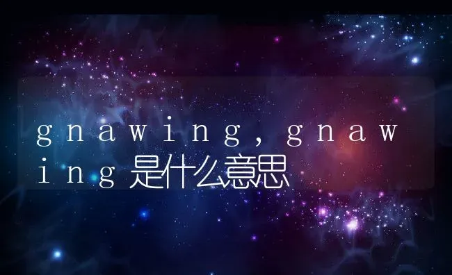 gnawing,gnawing是什么意思 | 宠物百科知识