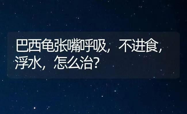 巴西龟张嘴呼吸，不进食，浮水，怎么治？ | 动物养殖问答