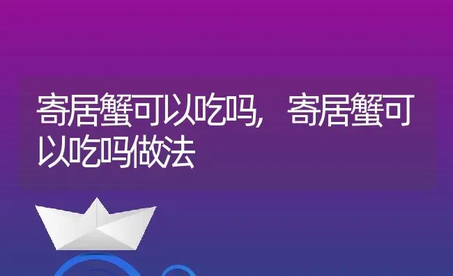 寄居蟹可以吃吗,寄居蟹可以吃吗做法 | 宠物百科知识