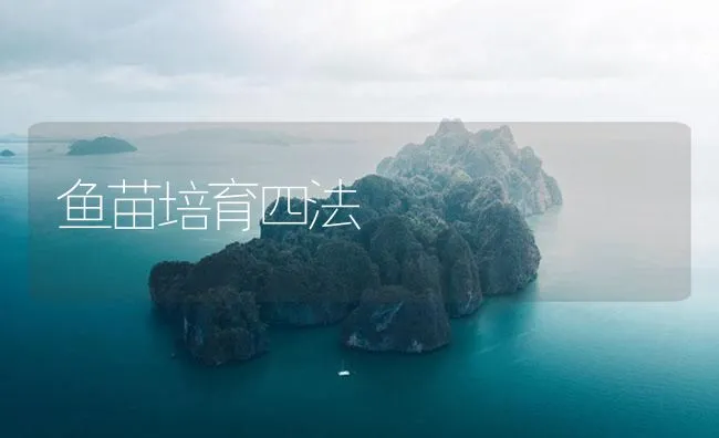 鱼苗培育四法 | 海水养殖技术