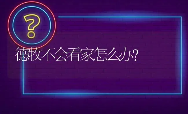 德牧不会看家怎么办？ | 动物养殖问答