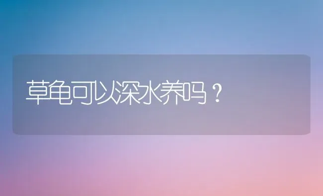 草龟可以深水养吗？ | 动物养殖问答