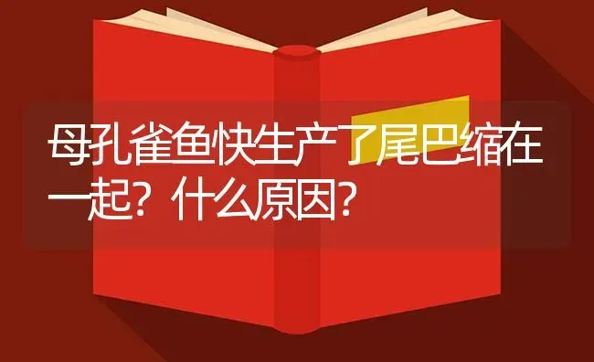 初学者必看！观赏鱼怎么养？ | 鱼类宠物饲养