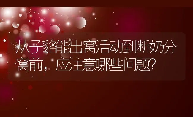 从子貉能出窝活动到断奶分窝前，应注意哪些问题？ | 动物养殖学堂