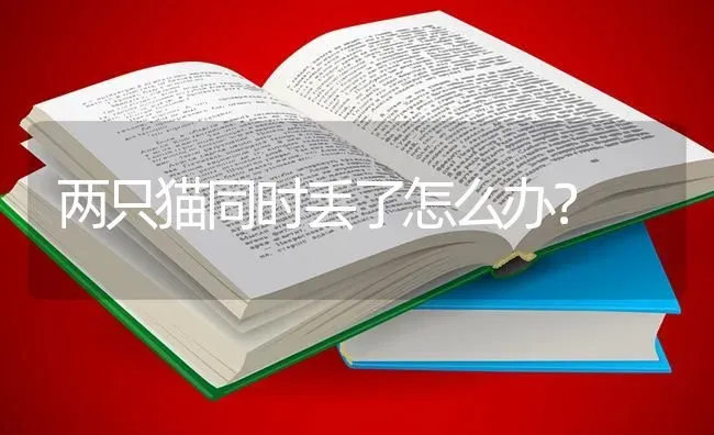 两只猫同时丢了怎么办？ | 动物养殖问答