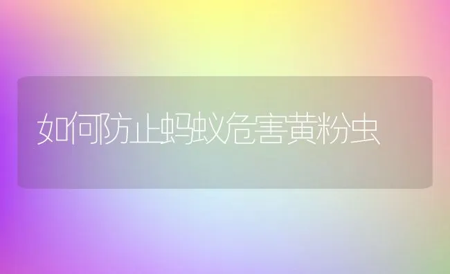 如何防止蚂蚁危害黄粉虫 | 动物养殖学堂