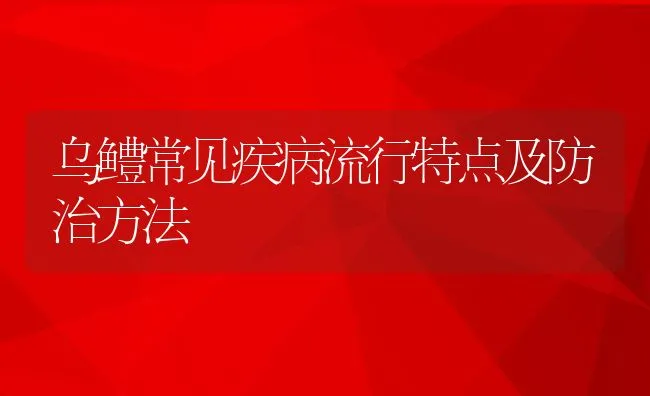 乌鳢常见疾病流行特点及防治方法 | 水产养殖知识