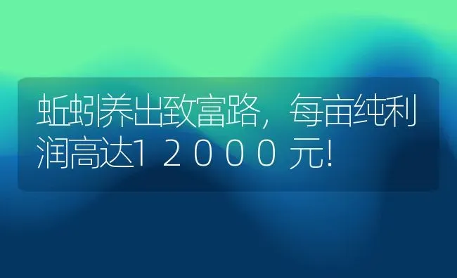 蚯蚓养出致富路，每亩纯利润高达12000元！ | 动物养殖百科