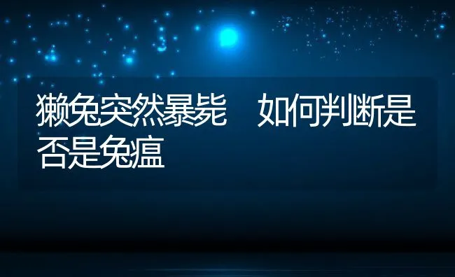 獭兔突然暴毙 如何判断是否是兔瘟 | 动物养殖学堂