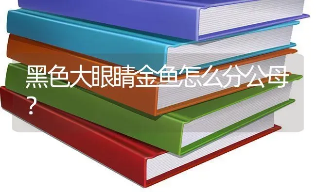 黑色大眼睛金鱼怎么分公母？ | 鱼类宠物饲养