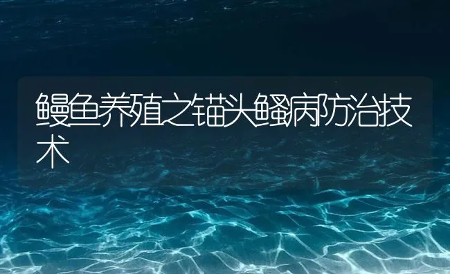 鳗鱼养殖之锚头鳋病防治技术 | 海水养殖技术