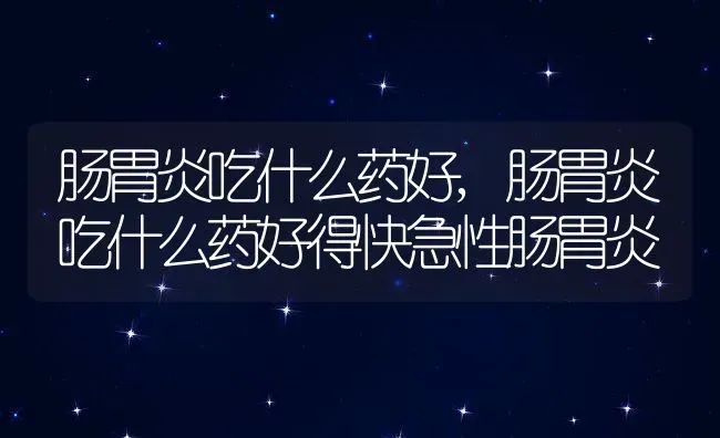 肠胃炎吃什么药好,肠胃炎吃什么药好得快急性肠胃炎 | 宠物百科知识