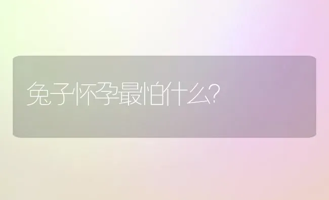 养火焰龟放多少水合适？ | 动物养殖问答