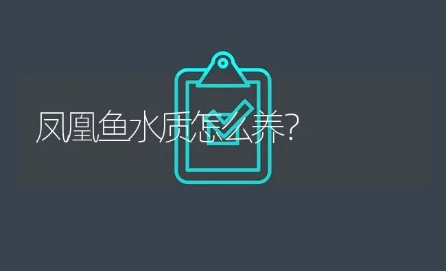 凤凰鱼水质怎么养？ | 鱼类宠物饲养