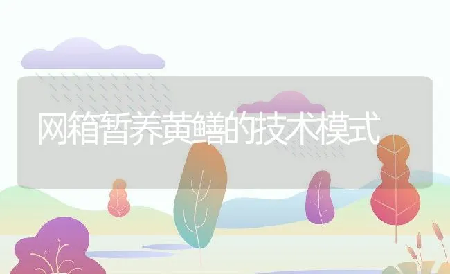 网箱暂养黄鳝的技术模式 | 水产养殖知识