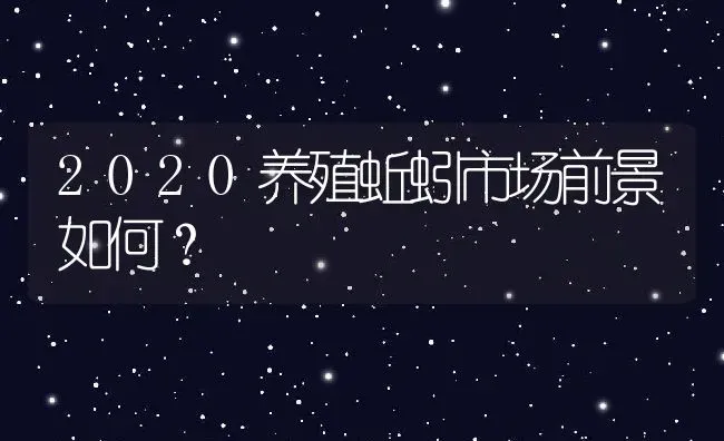 2020养殖蚯蚓市场前景如何？ | 动物养殖百科