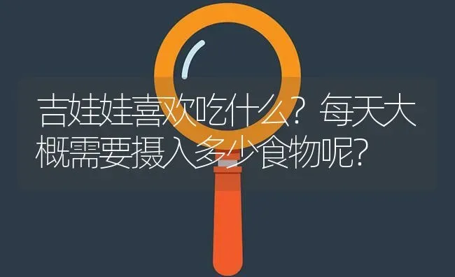 吉娃娃喜欢吃什么？每天大概需要摄入多少食物呢？ | 动物养殖问答