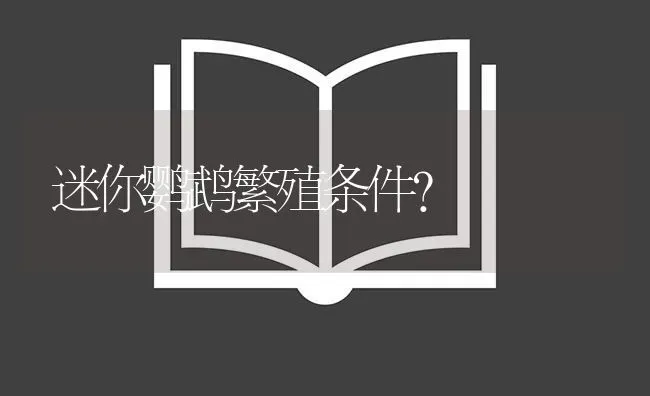 迷你鹦鹉繁殖条件？ | 鱼类宠物饲养