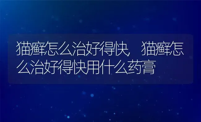 猫癣怎么治好得快,猫癣怎么治好得快用什么药膏 | 宠物百科知识