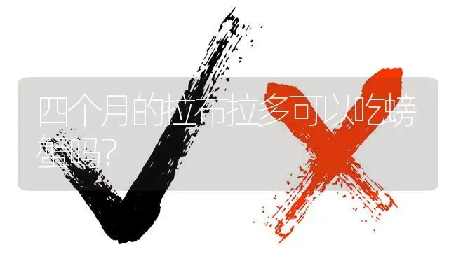 四个月的拉布拉多可以吃螃蟹吗？ | 动物养殖问答