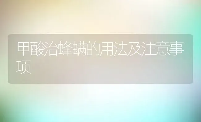 甲酸治蜂螨的用法及注意事项 | 动物养殖教程