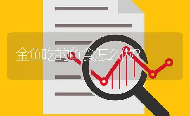 金鱼吃的鱼食怎么做？ | 鱼类宠物饲养