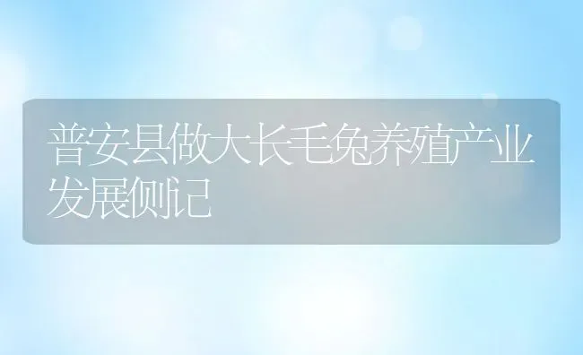 普安县做大长毛兔养殖产业发展侧记 | 动物养殖教程