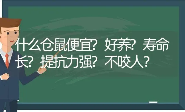 什么仓鼠便宜?好养?寿命长?提抗力强?不咬人？ | 动物养殖问答