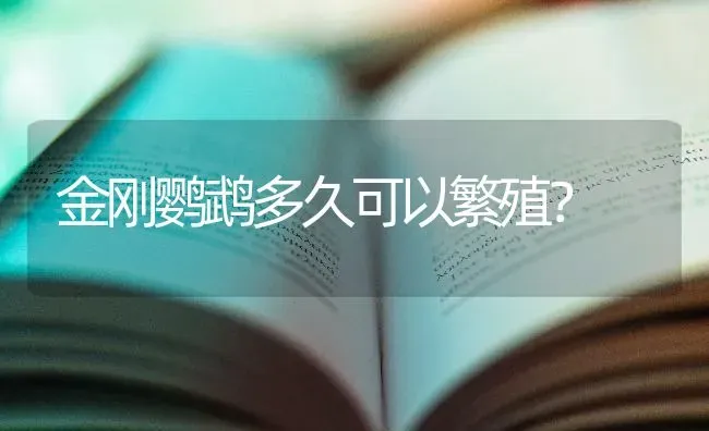 金刚鹦鹉多久可以繁殖？ | 动物养殖问答