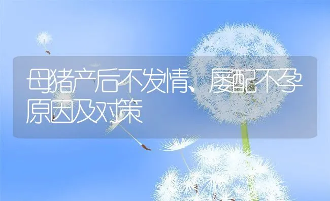 母猪产后不发情、屡配不孕原因及对策 | 动物养殖学堂