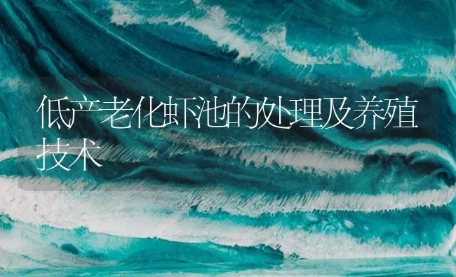 低产老化虾池的处理及养殖技术 | 海水养殖技术