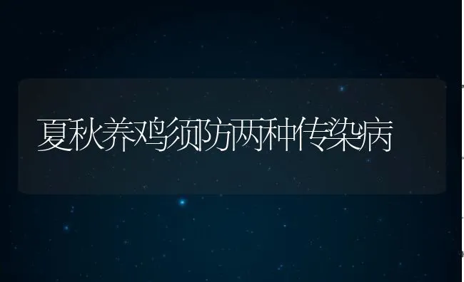 夏秋养鸡须防两种传染病 | 动物养殖学堂