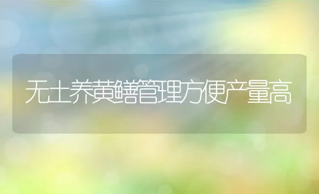 无土养黄鳝管理方便产量高 | 动物养殖学堂